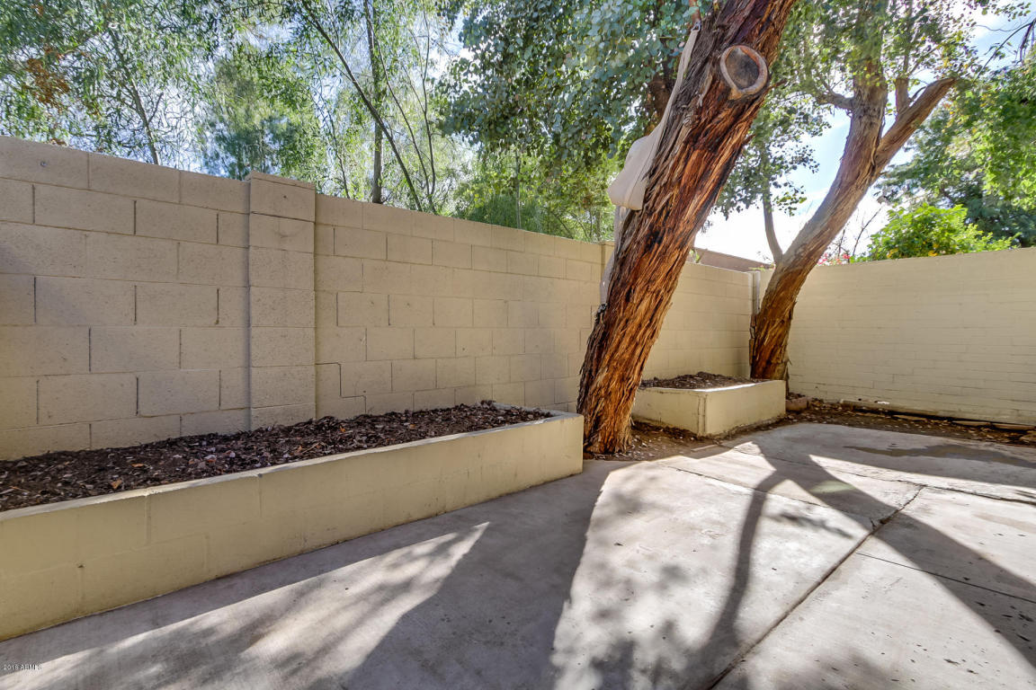 1264 E Medlock Dr, Phoenix, AZ 85014 photo 23