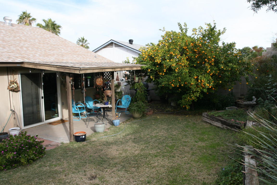 1625 E Beverly Ln, Phoenix, AZ 85022 photo 21