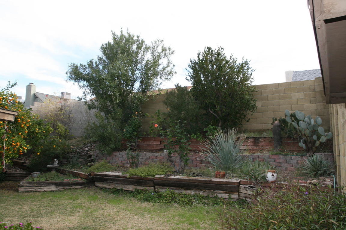 1625 E Beverly Ln, Phoenix, AZ 85022 photo 22