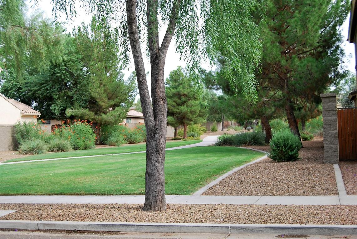 4663 E Cabrillo Dr, Gilbert, AZ 85297 photo 8