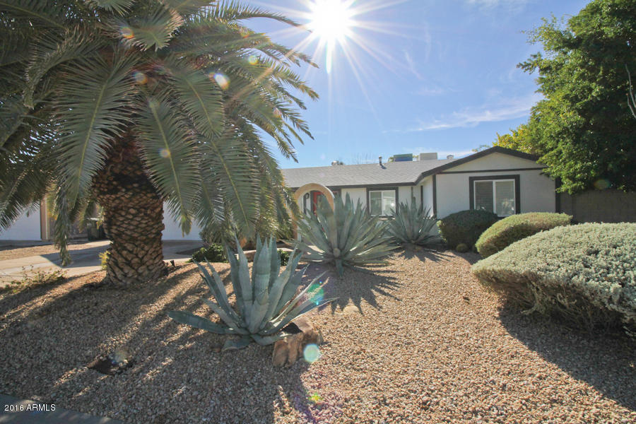 3827 E Crocus Dr, Phoenix, AZ 85032 photo 2