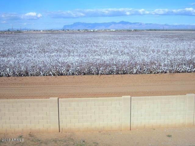 10274 E Aster Ln, Florence, AZ 85132 photo 24