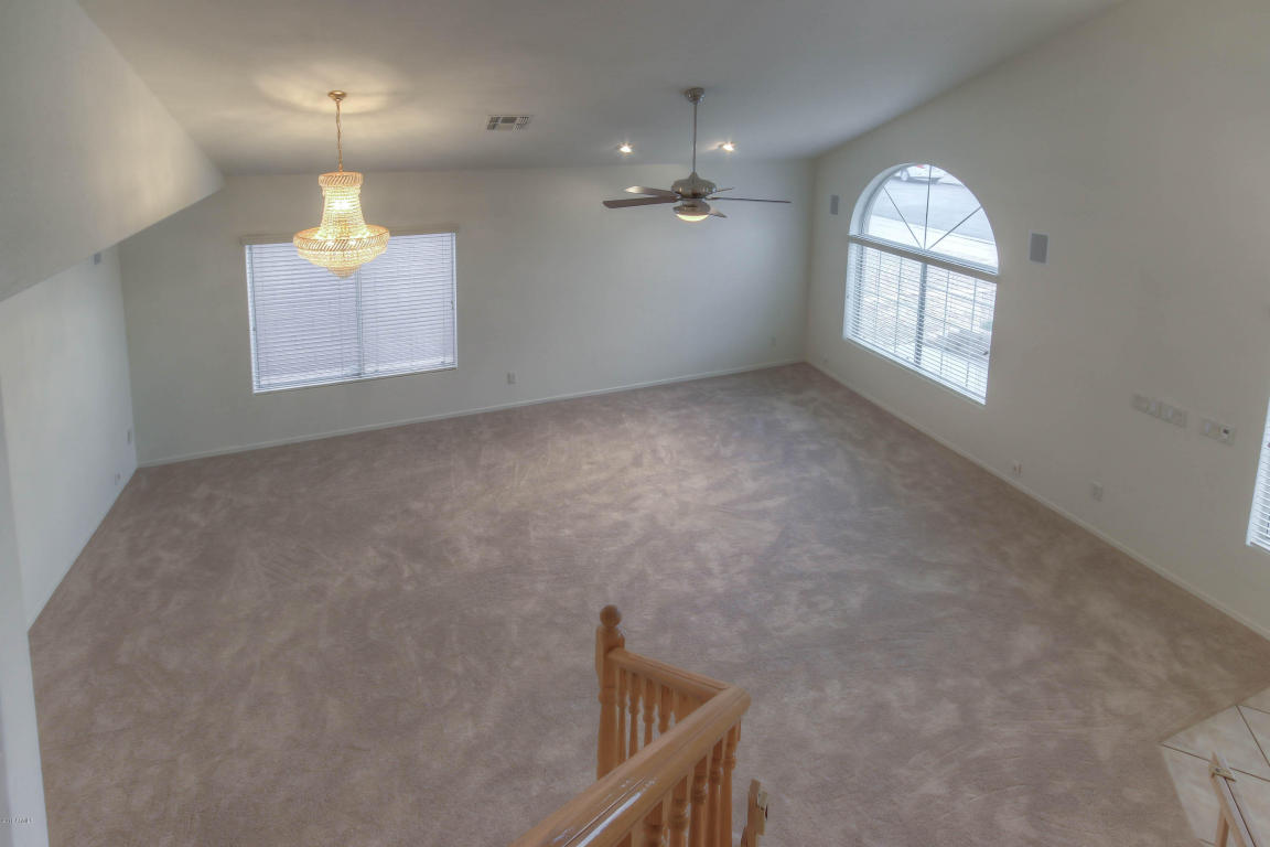10556 E Dolphin Ave, Mesa, AZ 85208 photo 25