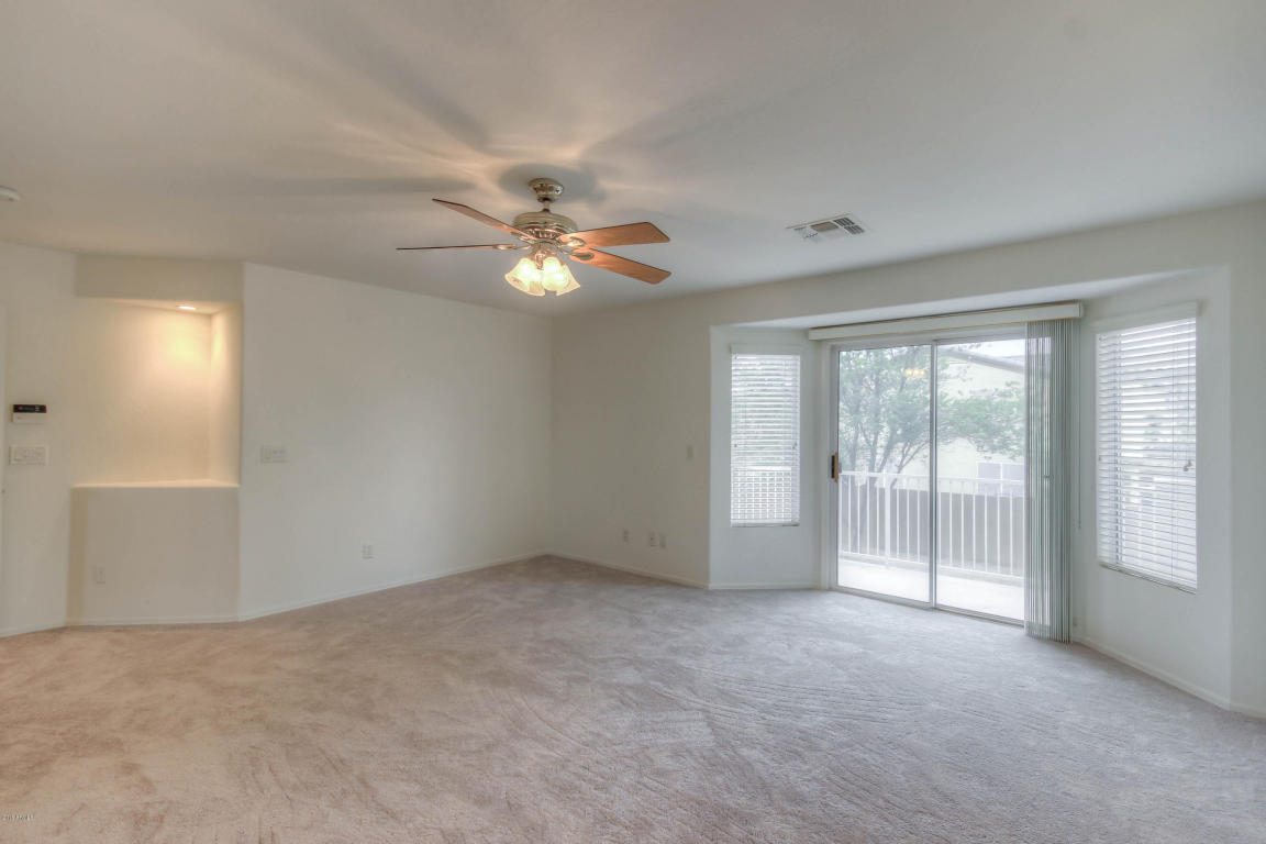10556 E Dolphin Ave, Mesa, AZ 85208 photo 33