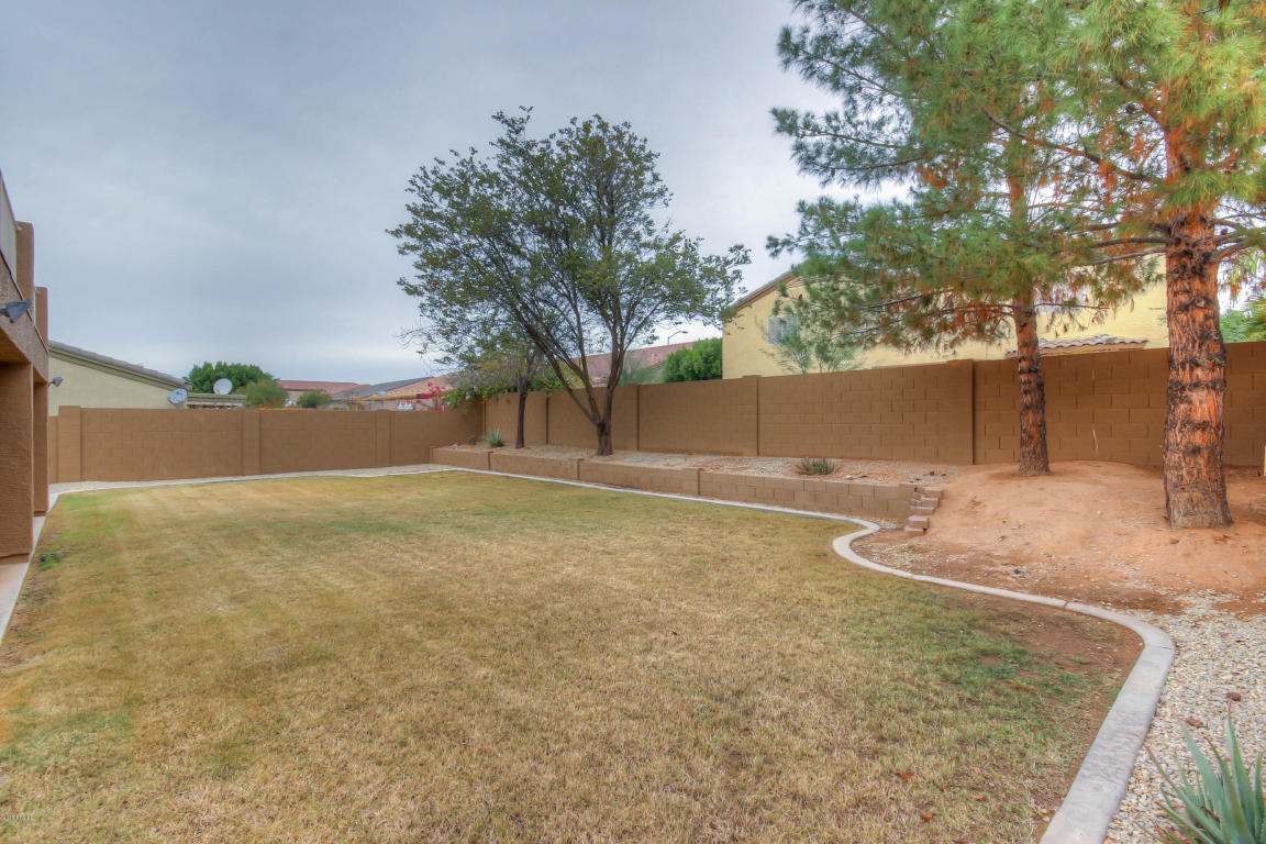10556 E Dolphin Ave, Mesa, AZ 85208 photo 39