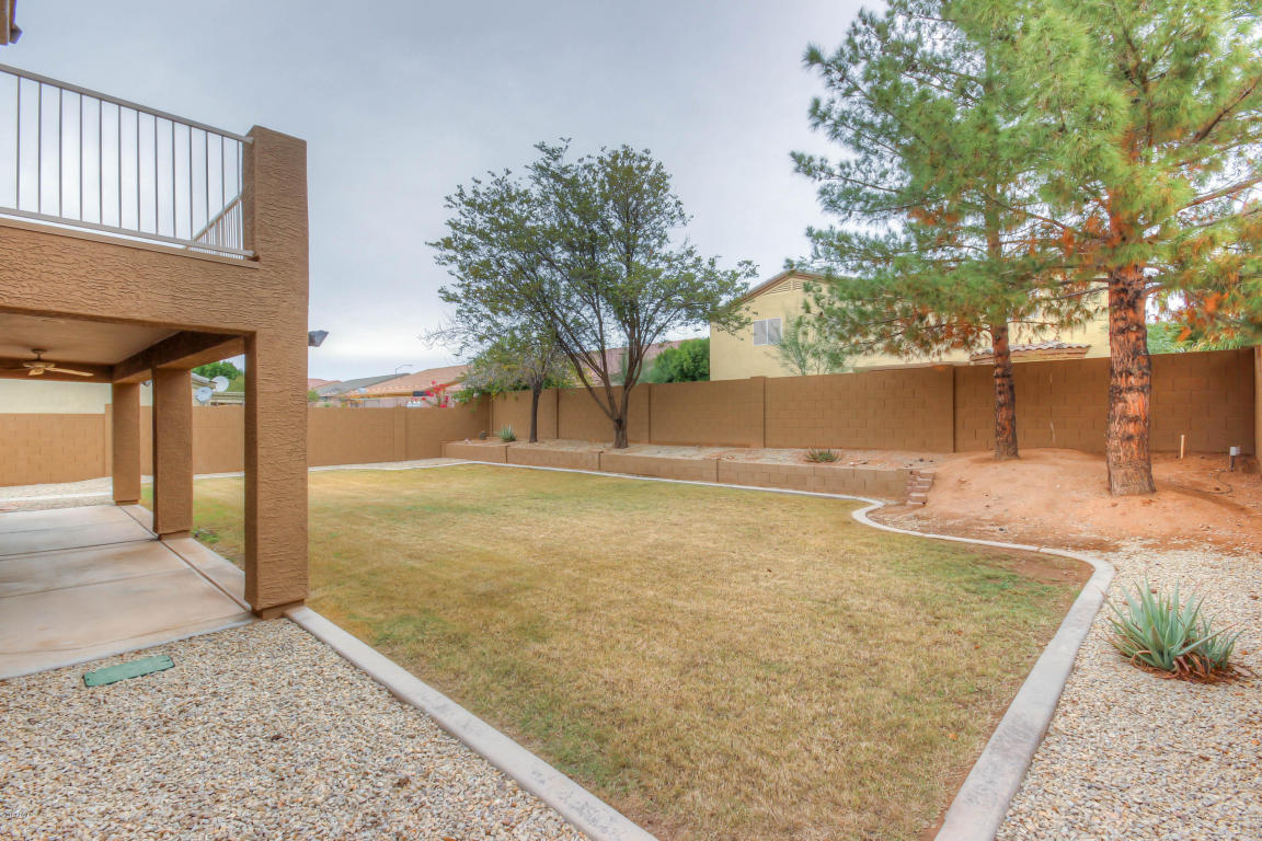10556 E Dolphin Ave, Mesa, AZ 85208 photo 38