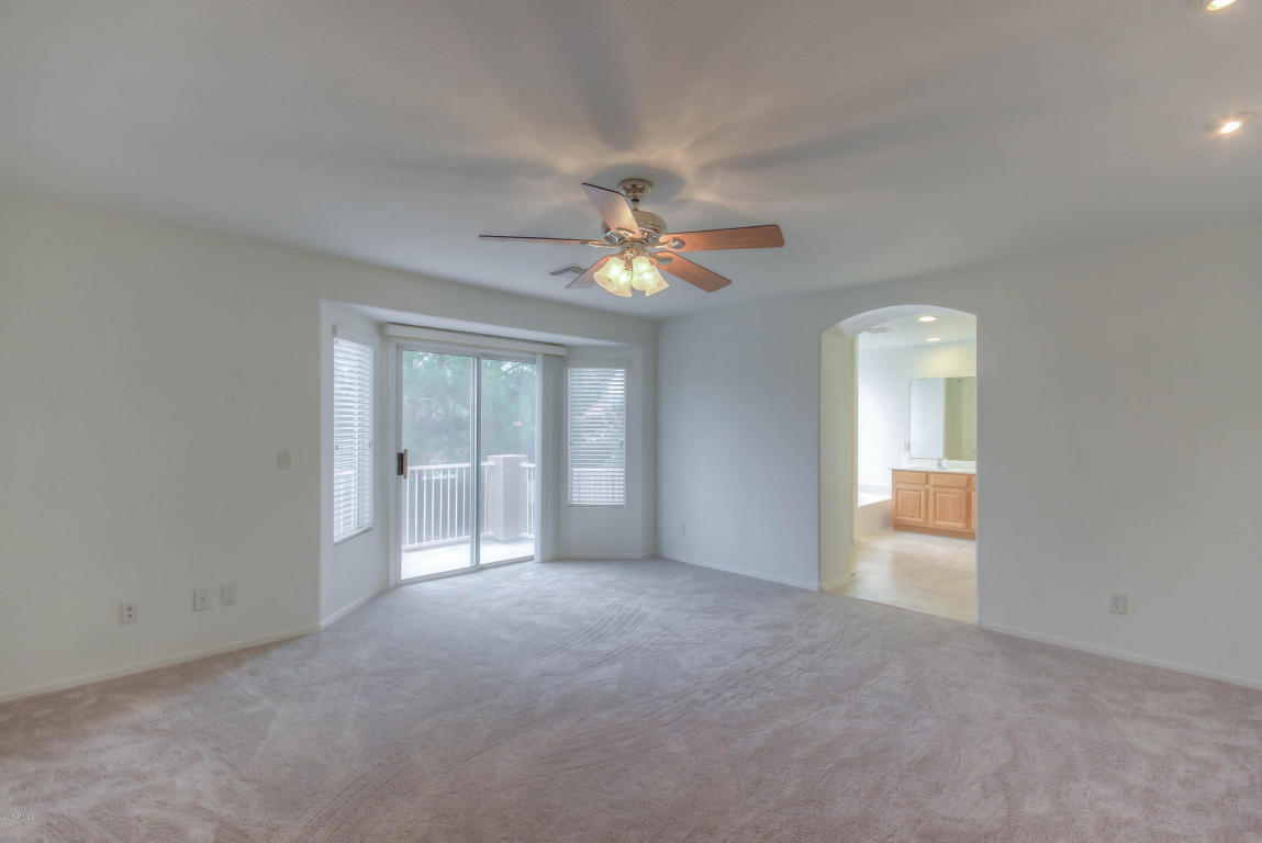10556 E Dolphin Ave, Mesa, AZ 85208 photo 29