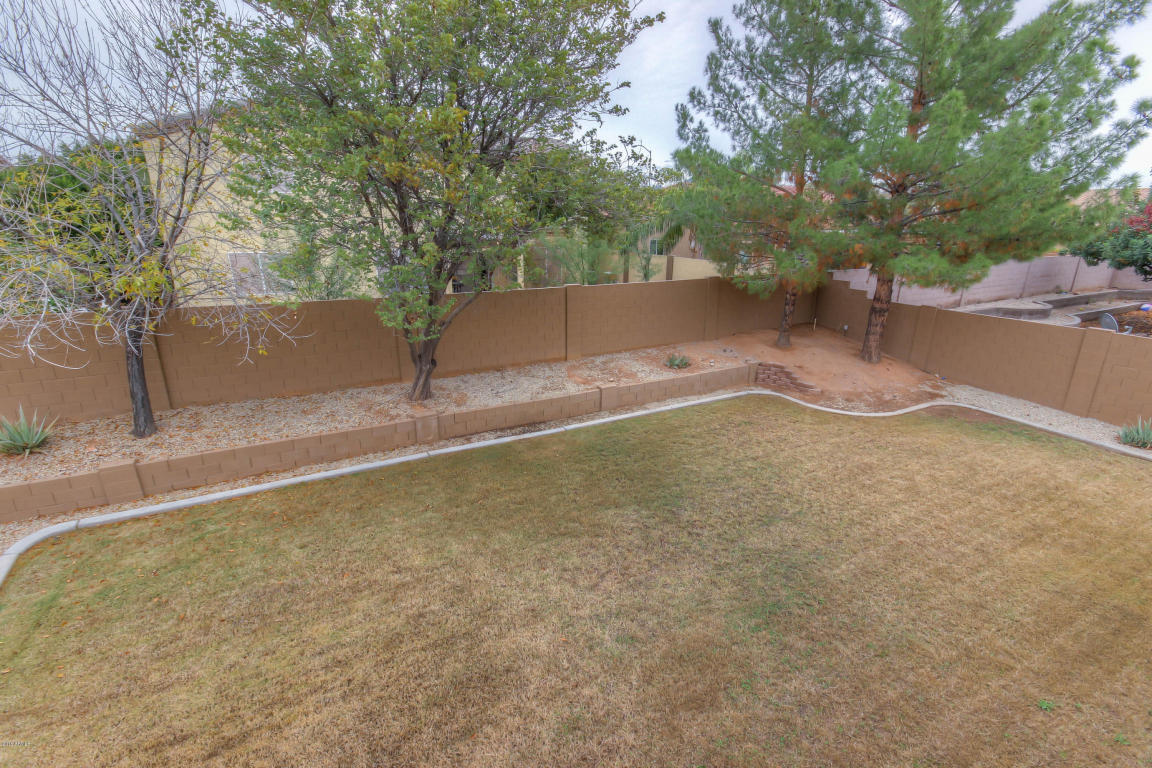 10556 E Dolphin Ave, Mesa, AZ 85208 photo 37
