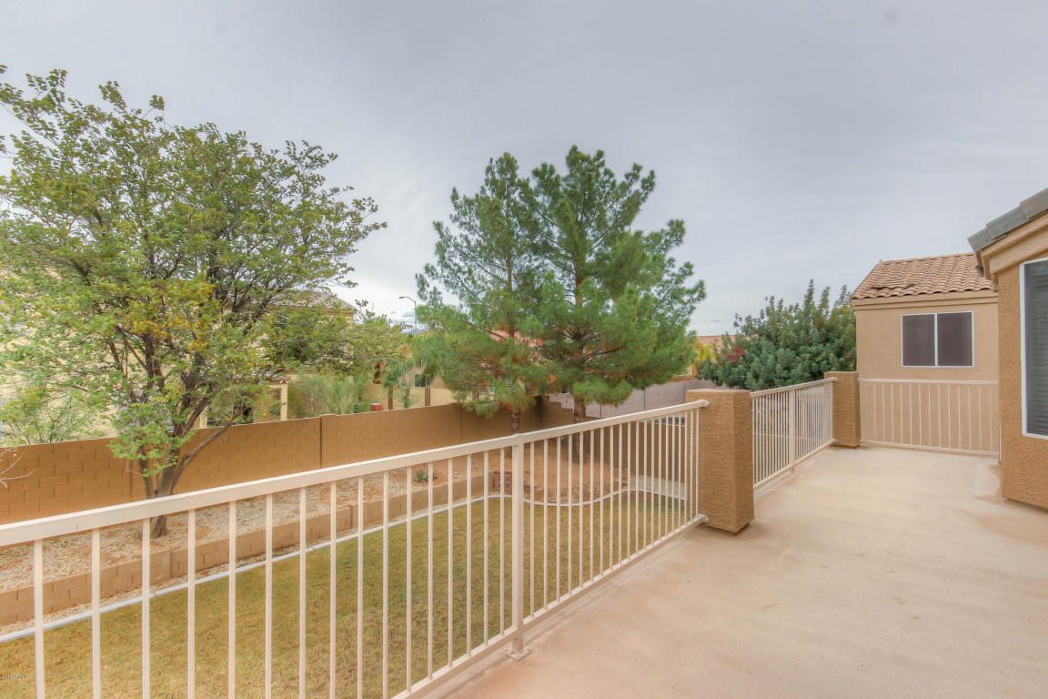 10556 E Dolphin Ave, Mesa, AZ 85208 photo 35