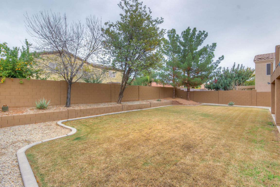 10556 E Dolphin Ave, Mesa, AZ 85208 photo 42