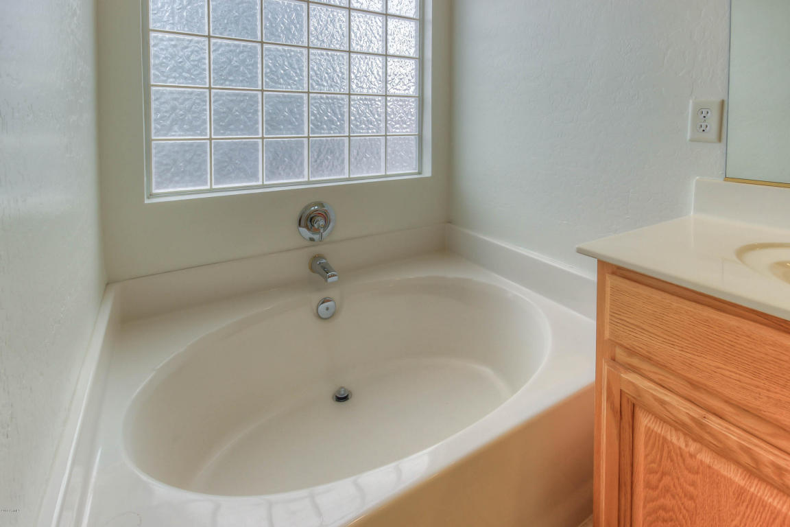 10556 E Dolphin Ave, Mesa, AZ 85208 photo 32
