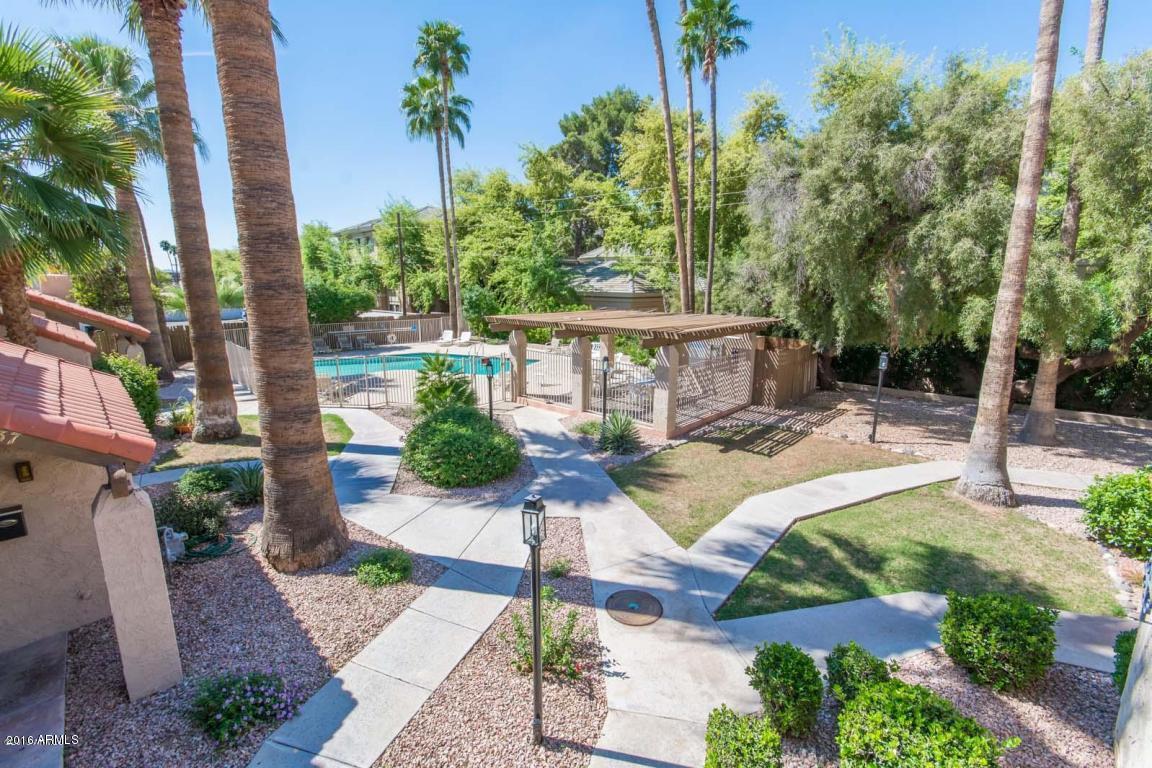 4519 E Rhonda Dr, Phoenix, AZ 85018 photo 11