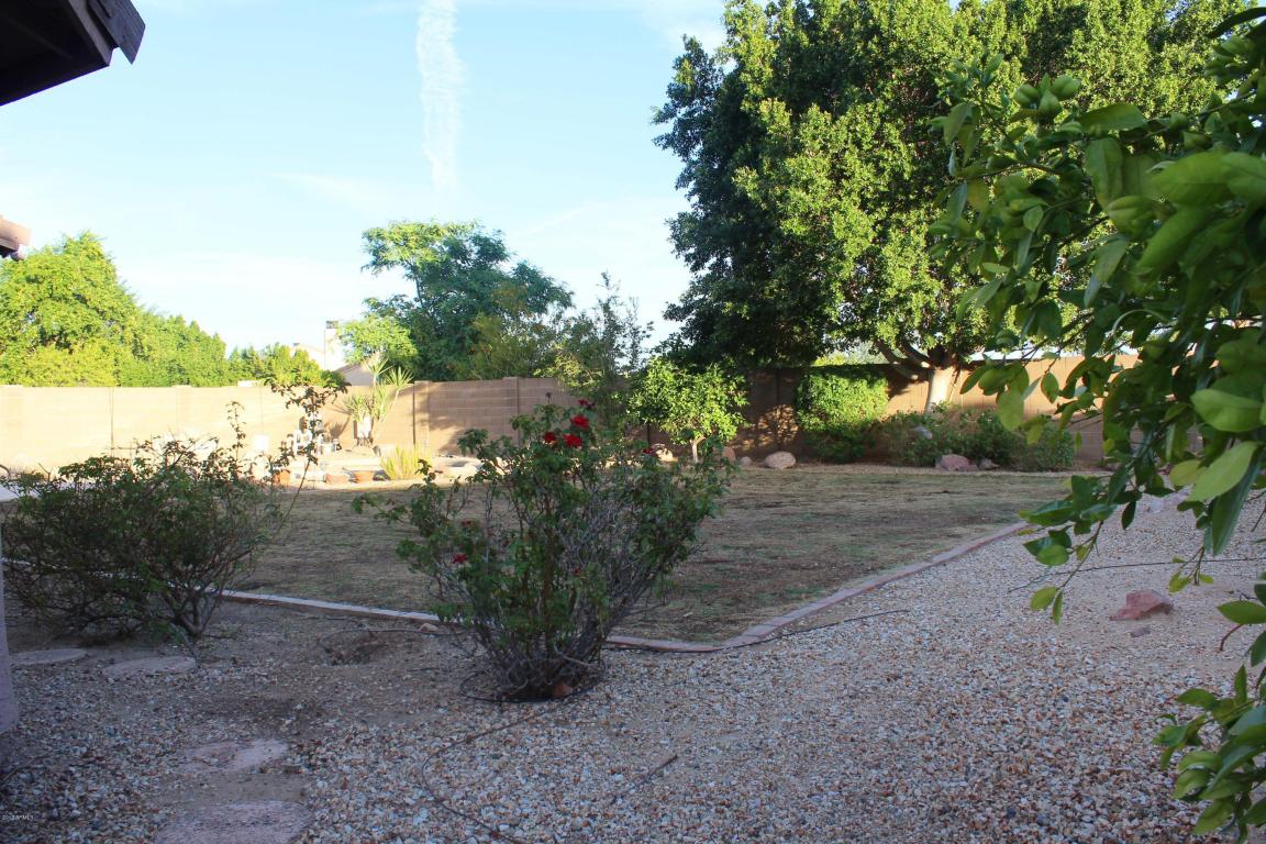 9521 E Princess Dr, Mesa, AZ 85207 photo 30