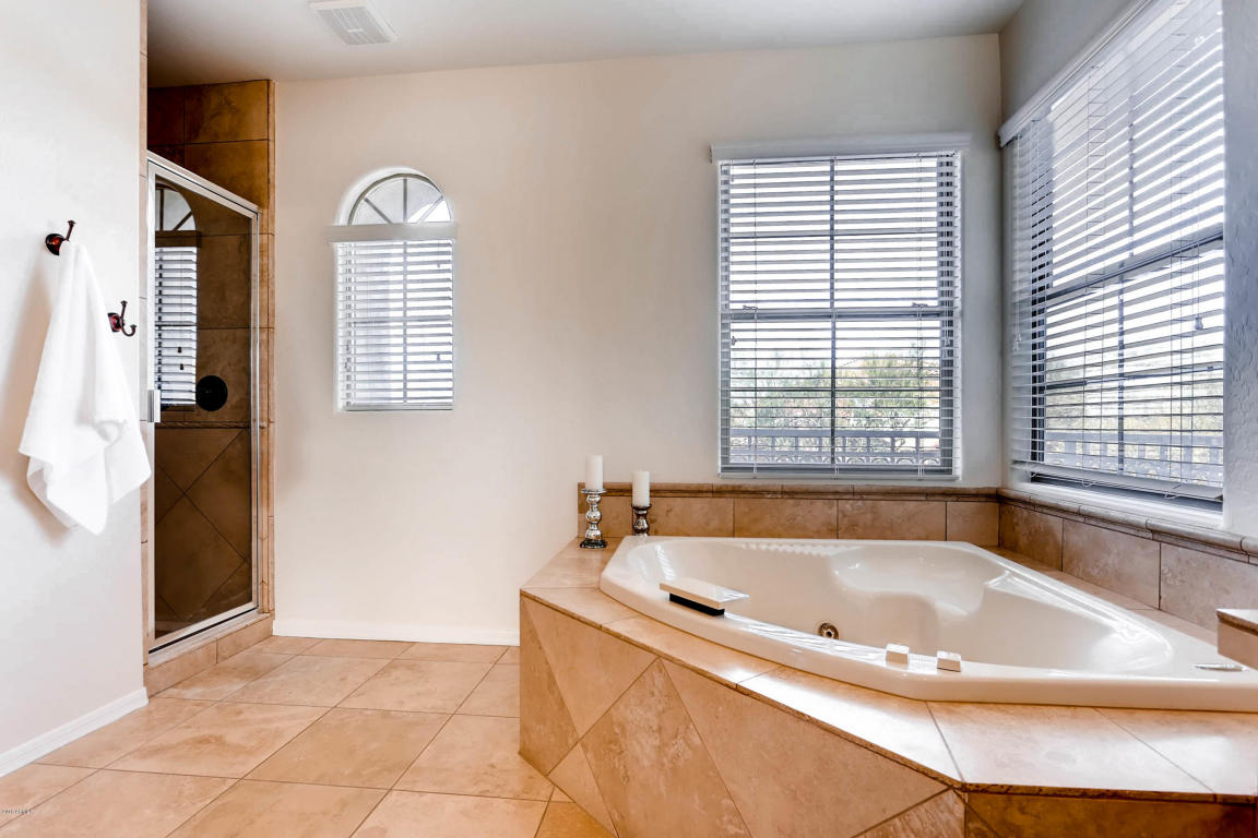 3951 E Navigator Ln, Phoenix, AZ 85050 photo 19