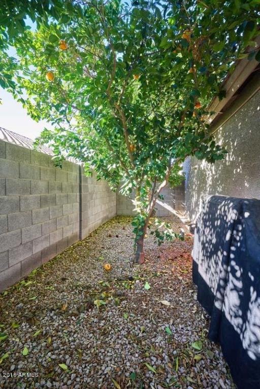1281 N Mckenna Ln, Gilbert, AZ 85233 photo 40