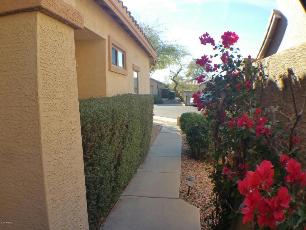 3534 W Webster Ct, Anthem, AZ 85086 photo 19