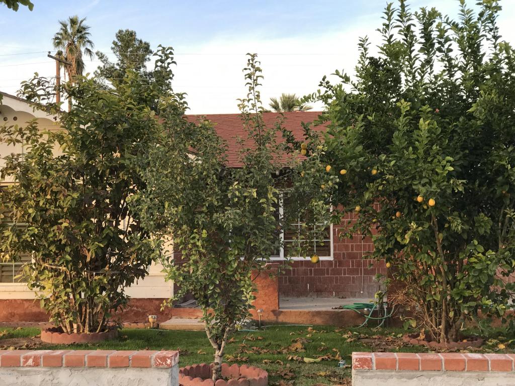 3612 W Marlette Ave, Phoenix, AZ 85019 photo 8