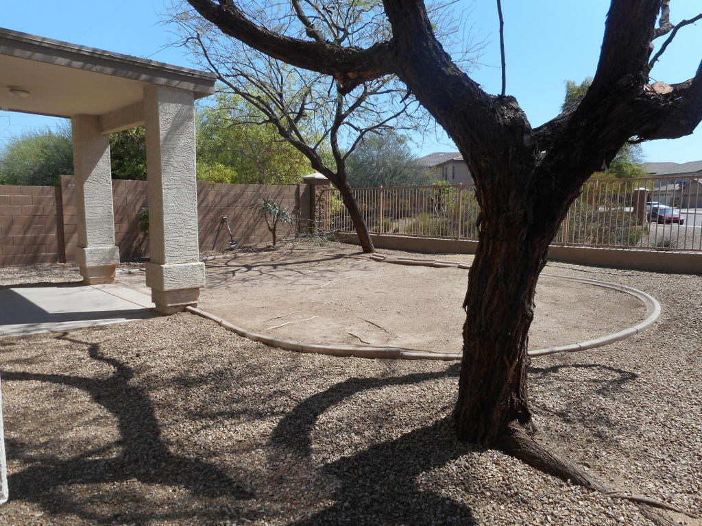 1837 E Patrick Ln, Phoenix, AZ 85024 photo 30