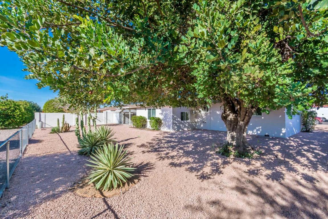 6017 E Colby Rd, Mesa, AZ 85205 photo 14