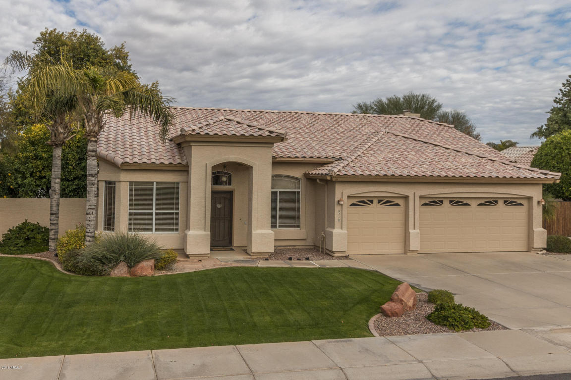 2318 E Randall Rd, Gilbert, AZ 85296 photo 29