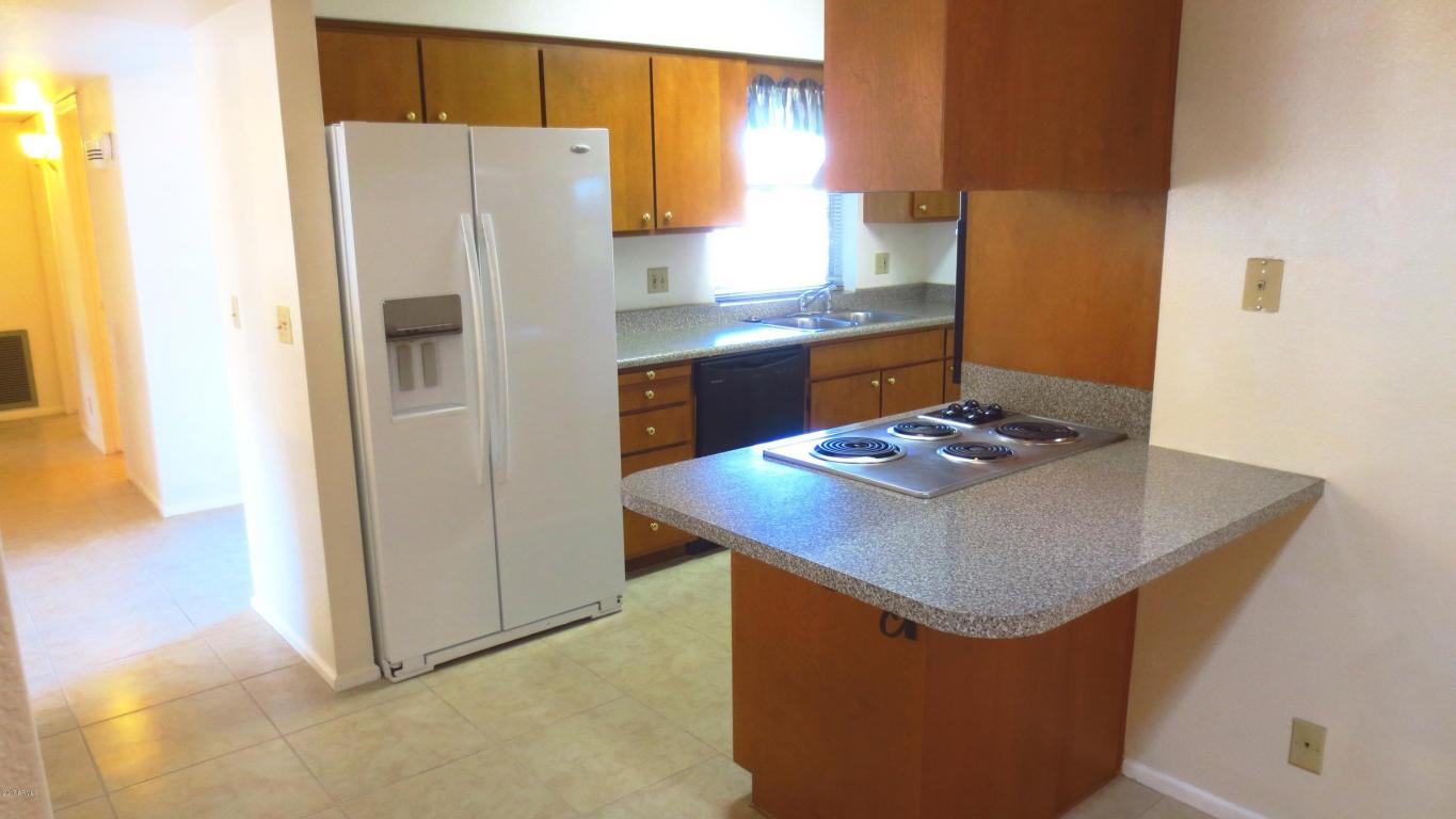 4509 E Carmel Ave, Mesa, AZ 85206 photo 3