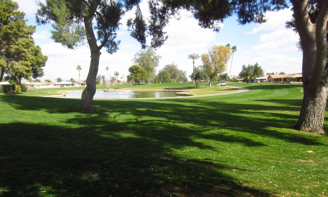 4509 E Carmel Ave, Mesa, AZ 85206 photo 5