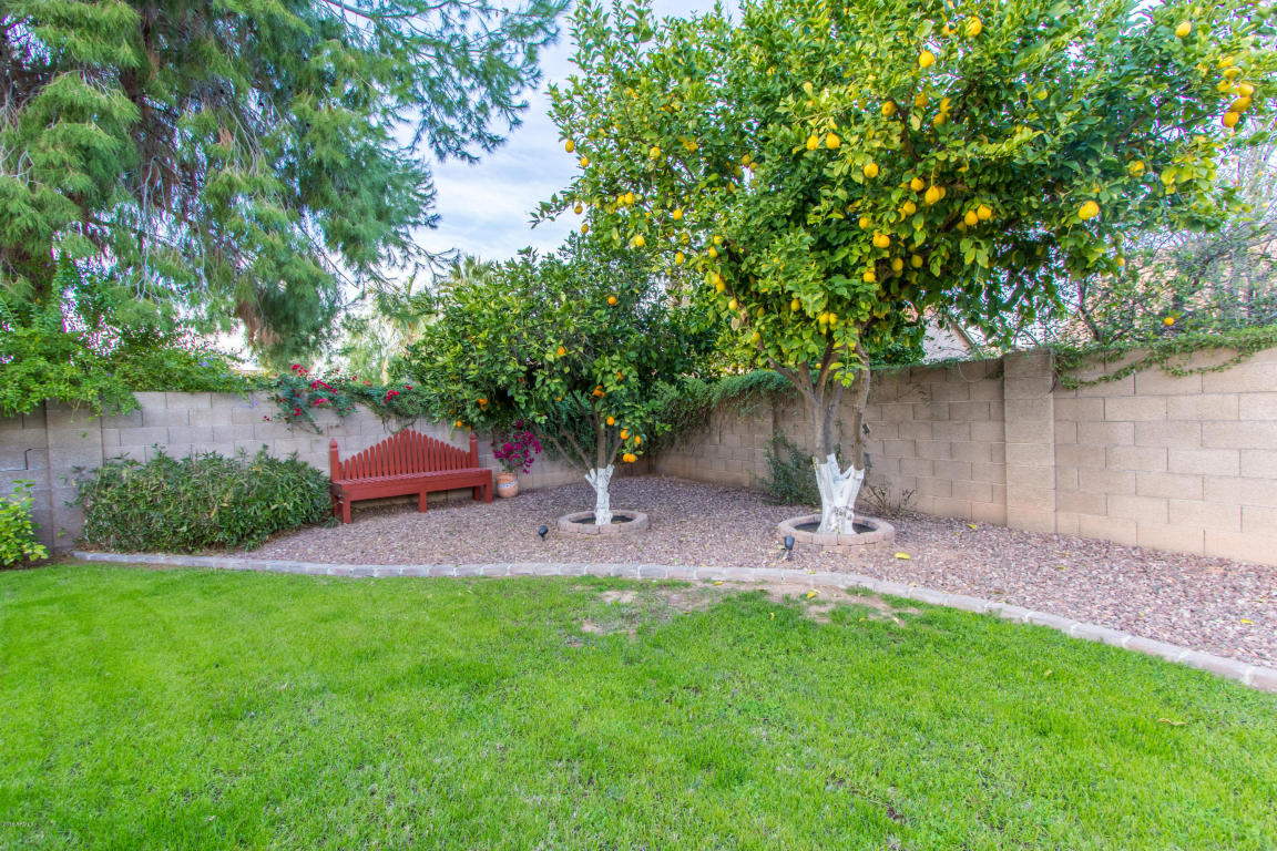 1018 E Douglas Ave, Gilbert, AZ 85234 photo 32