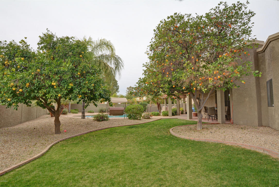 501 E Citation Ln, Tempe, AZ 85284 photo 19