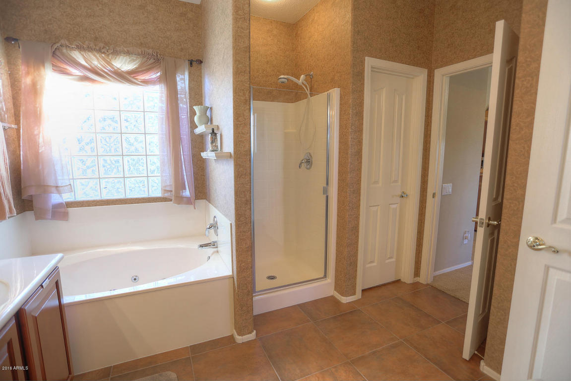 7725 E Baltimore St, Mesa, AZ 85207 photo 19