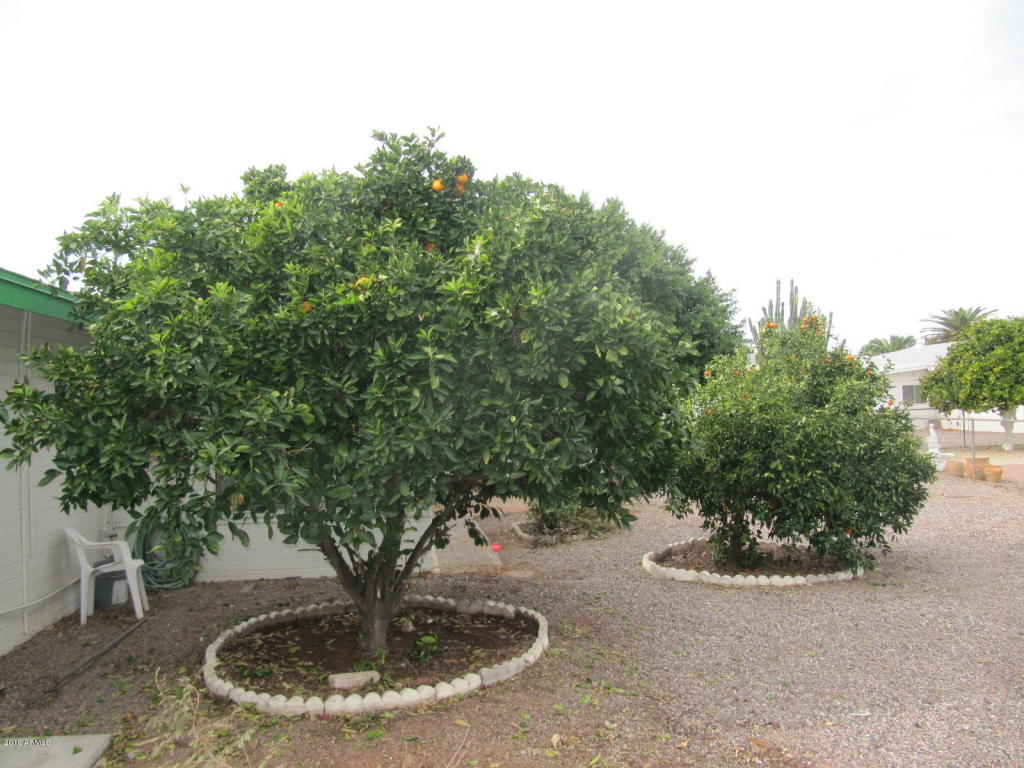 5348 E Dodge St, Mesa, AZ 85205 photo 20