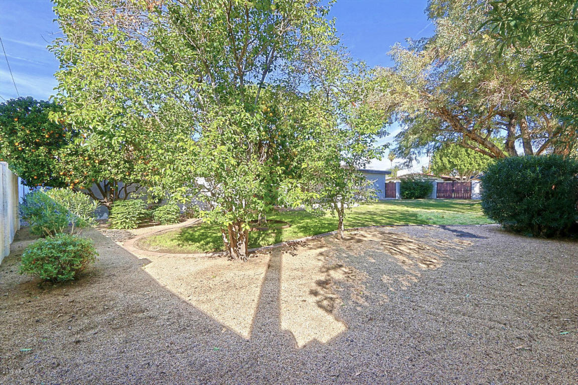507 E Fairfield St, Mesa, AZ 85203 photo 37