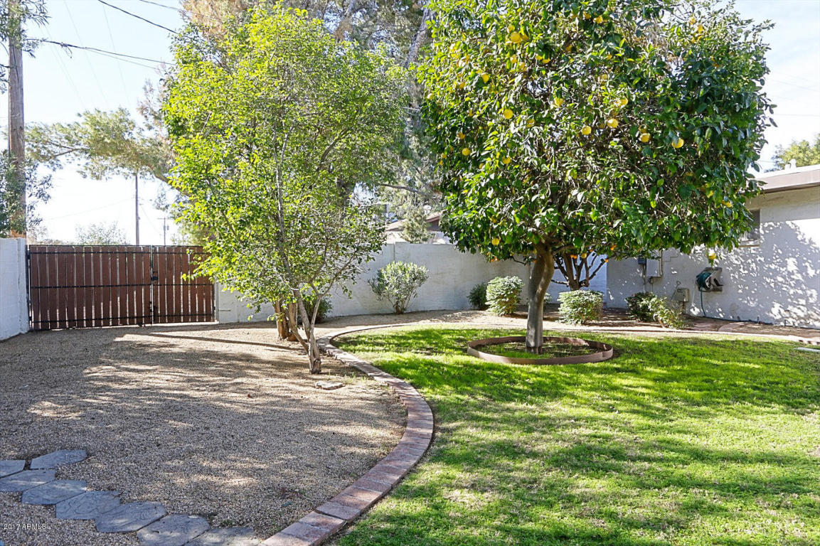 507 E Fairfield St, Mesa, AZ 85203 photo 36