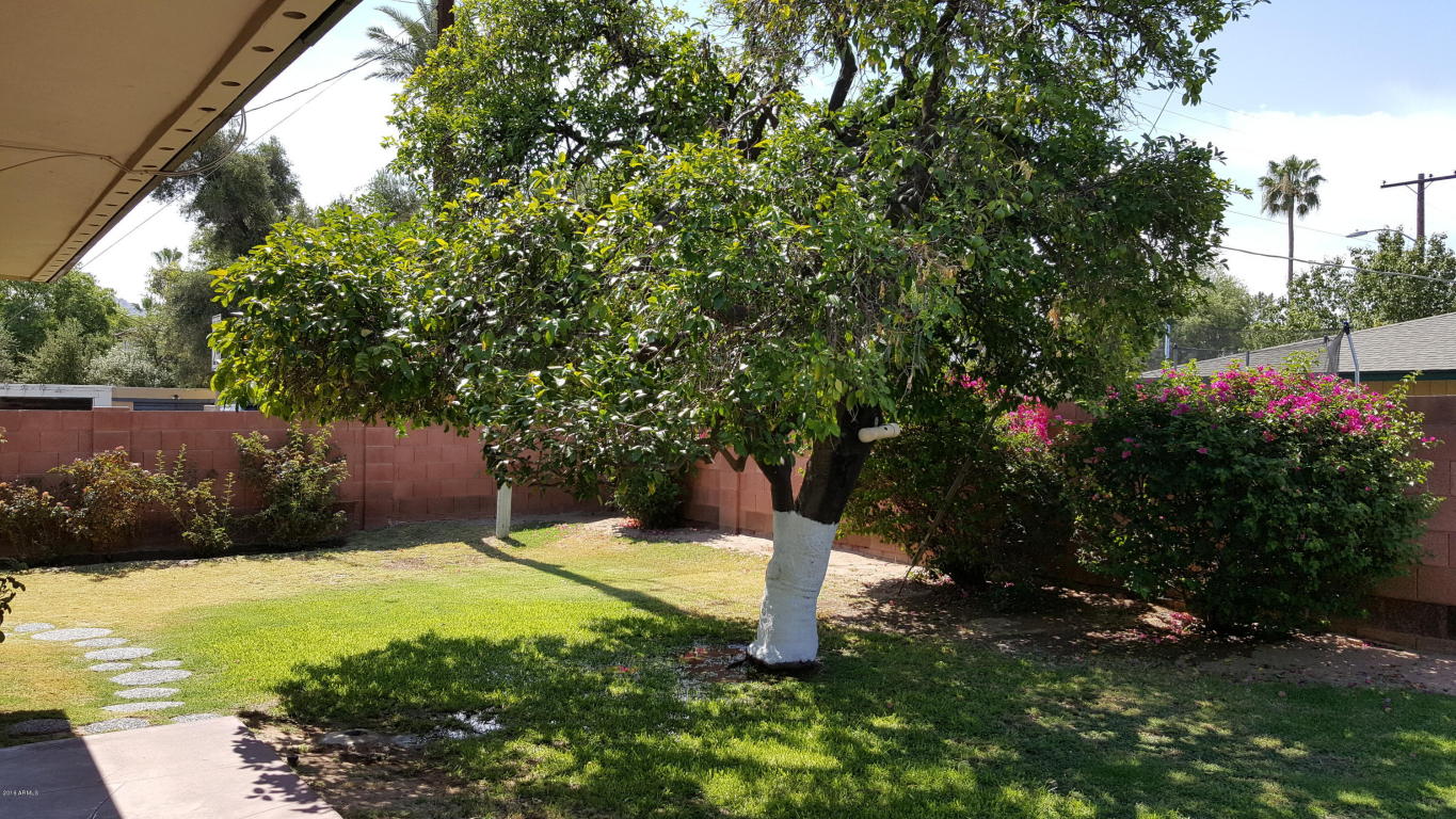 219 E Northern Ave, Phoenix, AZ 85020 photo 22