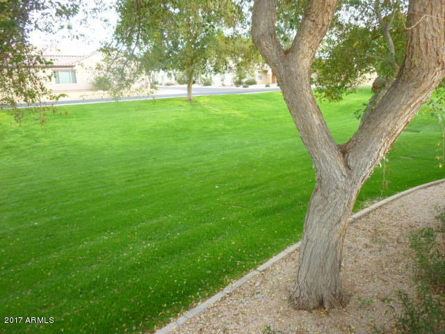 209 N 76th Pl, Mesa, AZ 85207 photo 52