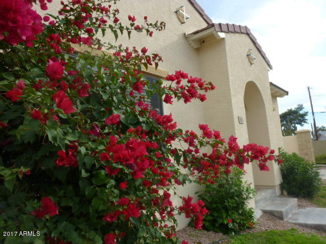209 N 76th Pl, Mesa, AZ 85207 photo 9