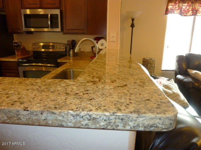 209 N 76th Pl, Mesa, AZ 85207 photo 39
