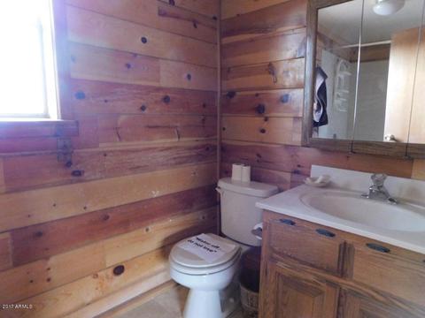 2184 Gingerbread Ln, Overgaard, AZ 85933 photo 29