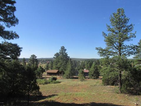 2184 Gingerbread Ln, Overgaard, AZ 85933 photo 4