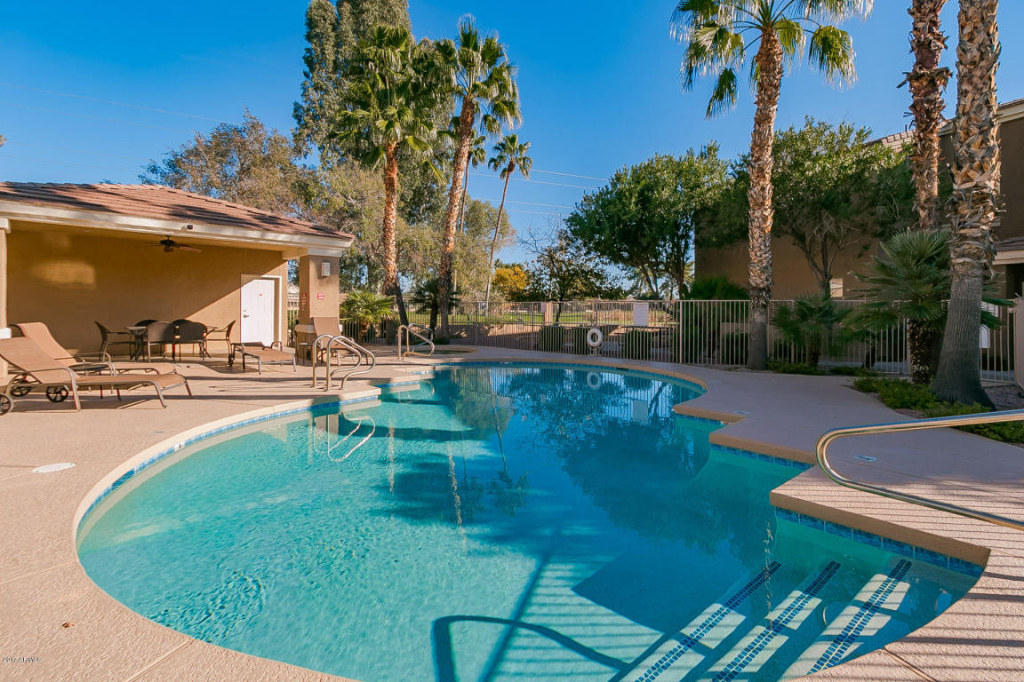1335 E June St #232, Mesa, AZ 85203 photo 1