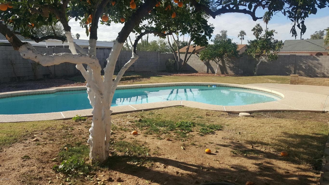 3507 E Saint John Rd, Phoenix, AZ 85032 photo 7