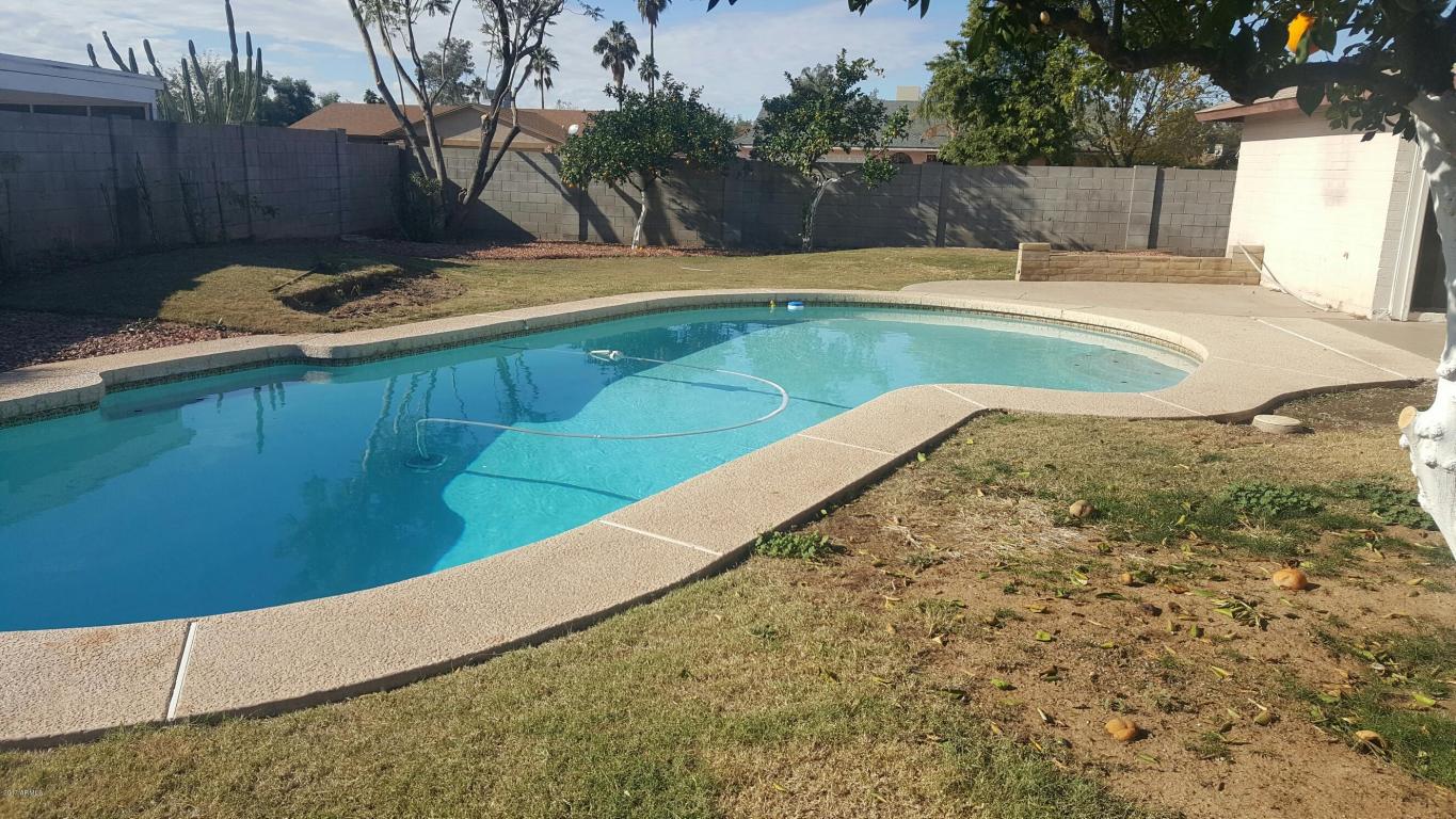 3507 E Saint John Rd, Phoenix, AZ 85032 photo 9