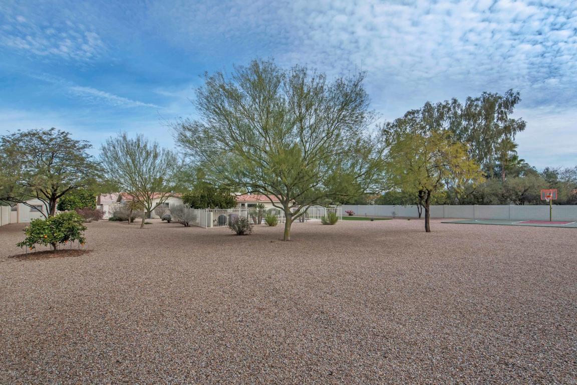 4637 E Cholla St, Phoenix, AZ 85028 photo 33