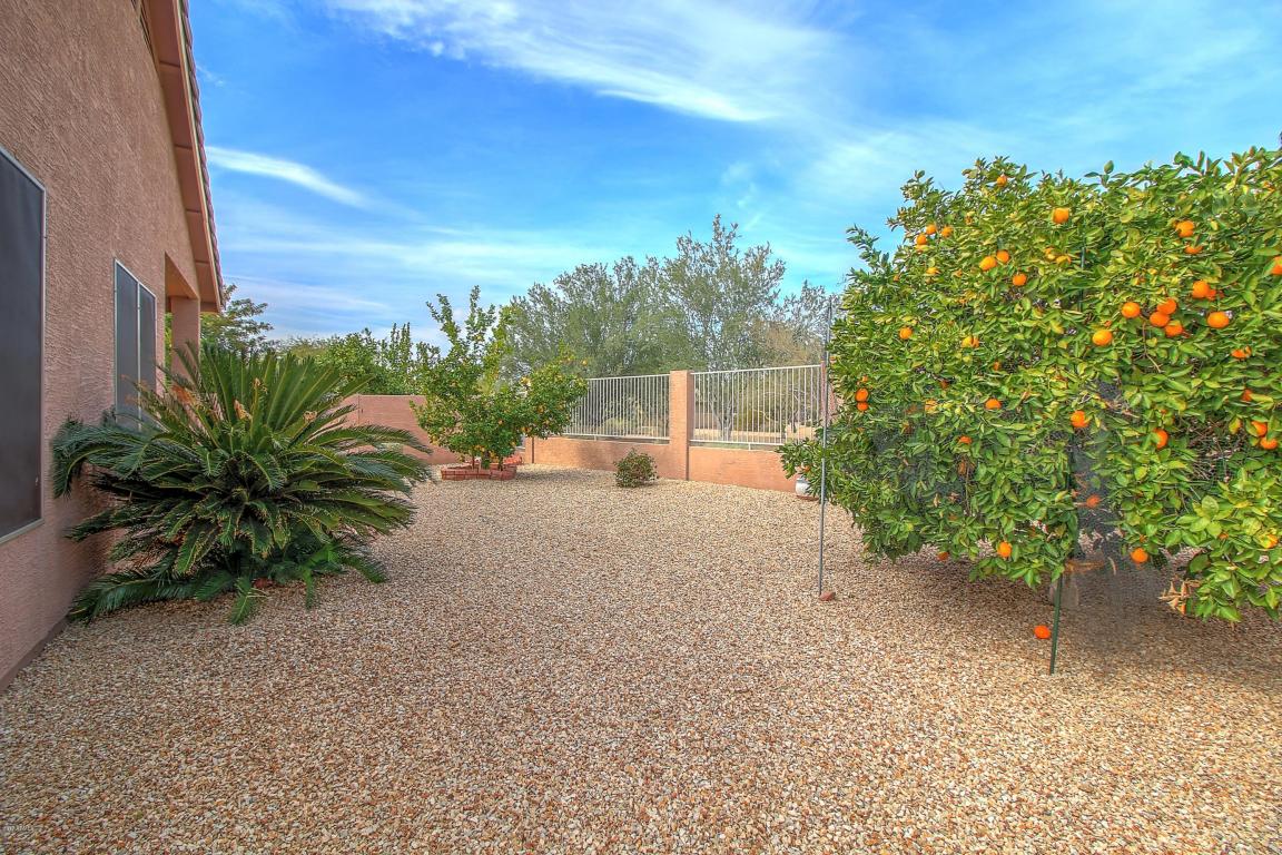 4648 E Chisum Trl, Phoenix, AZ 85050 photo 26