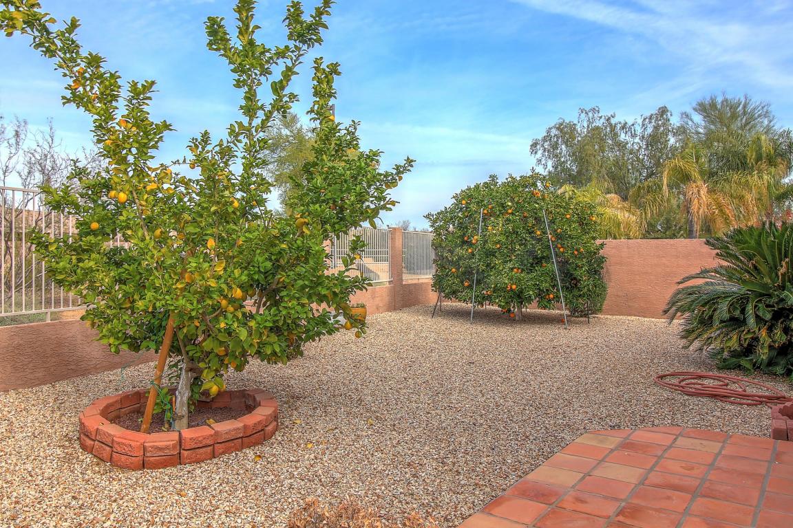 4648 E Chisum Trl, Phoenix, AZ 85050 photo 23
