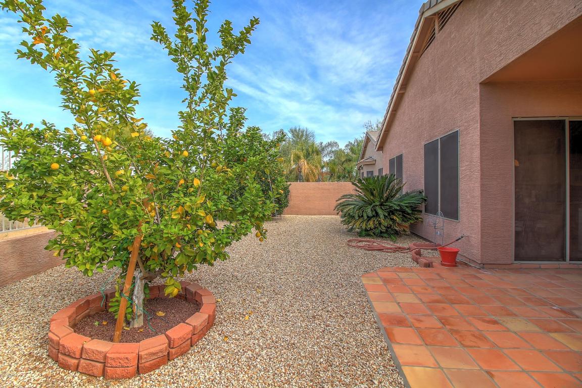 4648 E Chisum Trl, Phoenix, AZ 85050 photo 24