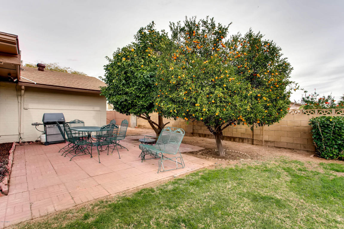 6037 E Mclellan Rd, Mesa, AZ 85205 photo 24