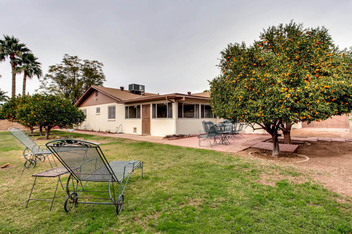 6037 E Mclellan Rd, Mesa, AZ 85205 photo 22