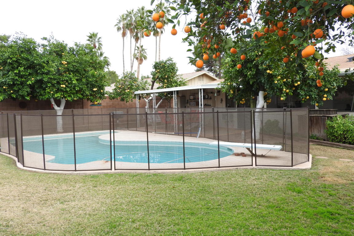 5208 E Weldon Ave, Phoenix, AZ 85018 photo 14