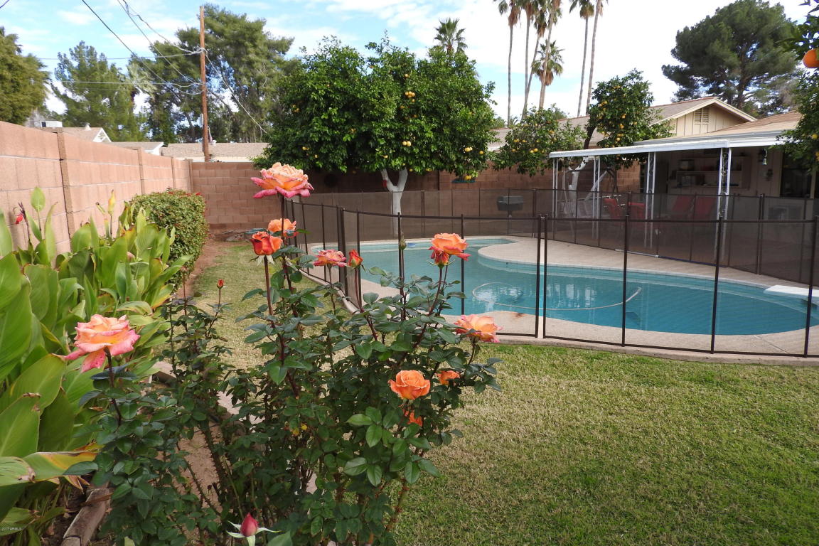 5208 E Weldon Ave, Phoenix, AZ 85018 photo 12