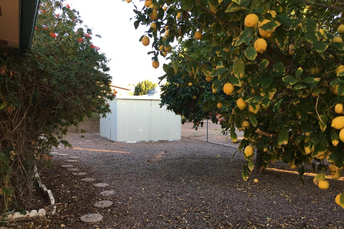 5647 E Dodge St, Mesa, AZ 85205 photo 33